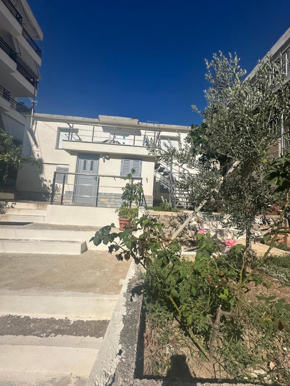 Property building, Spring, Garden, Garden view