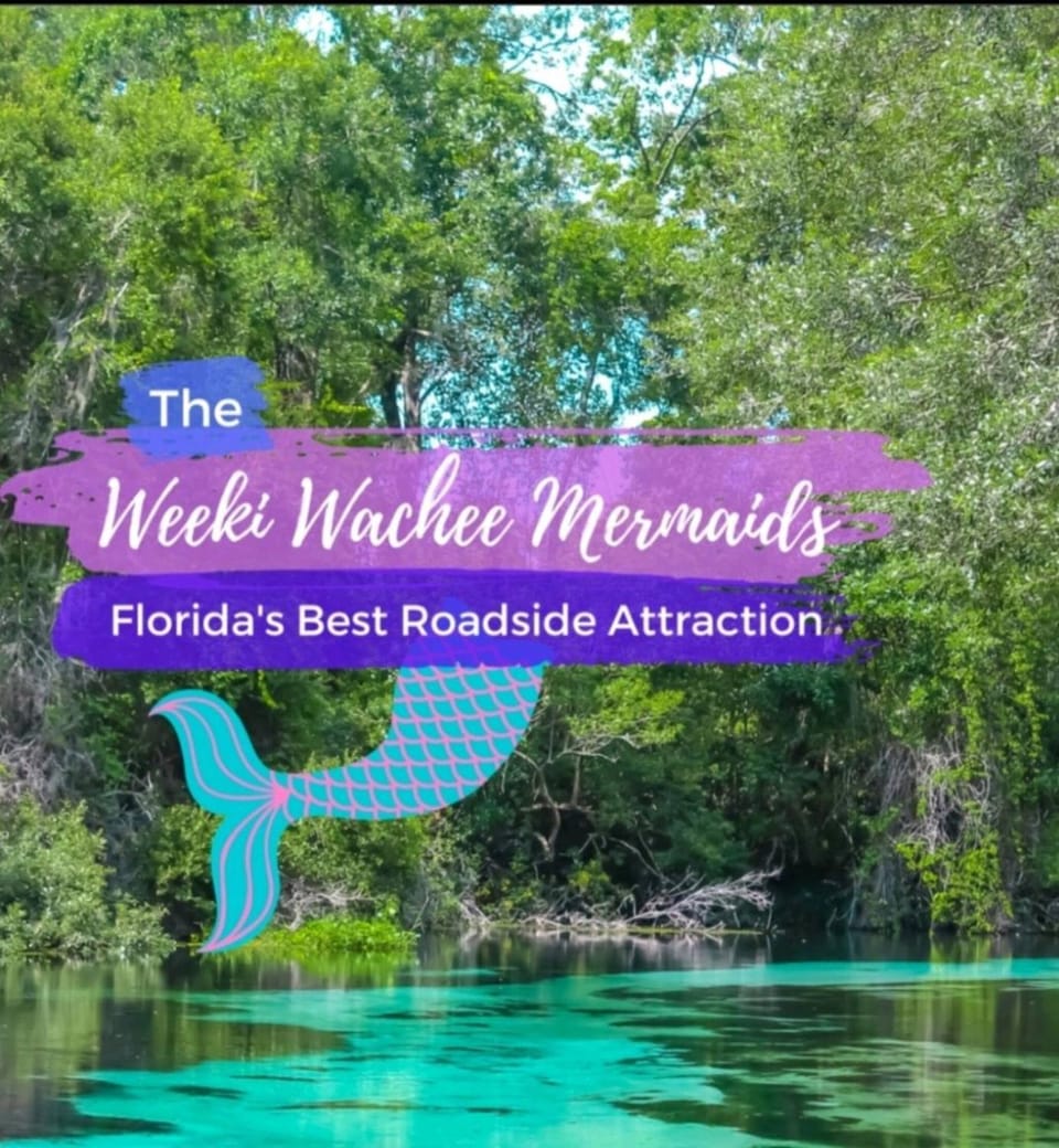 Nearby landmark, Off site, Neighbourhood, Natural landscape, Beach