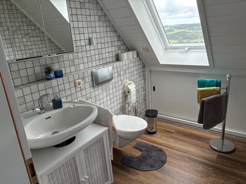 Toilet, Bathroom, towels