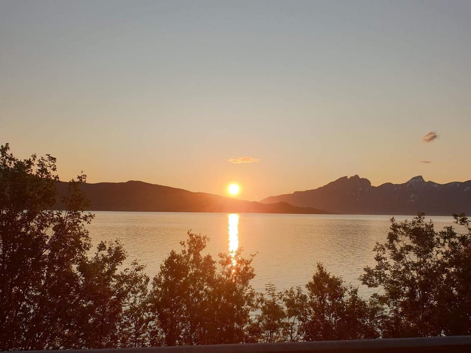 Lake view