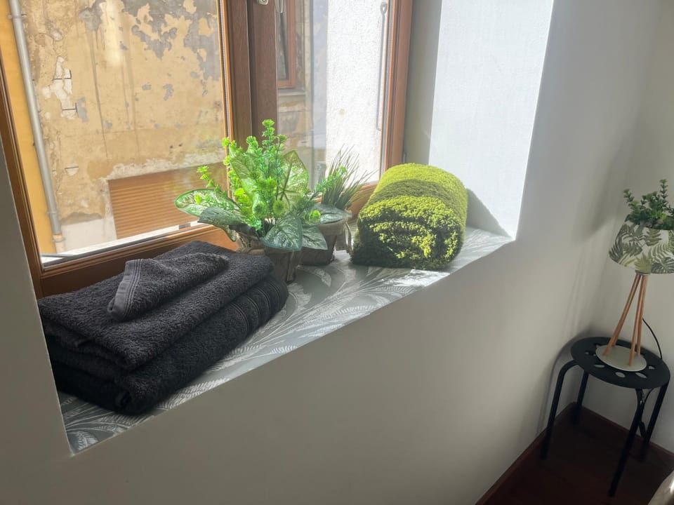 L émeraude Apartment in Auvergne-Rhône-Alpes