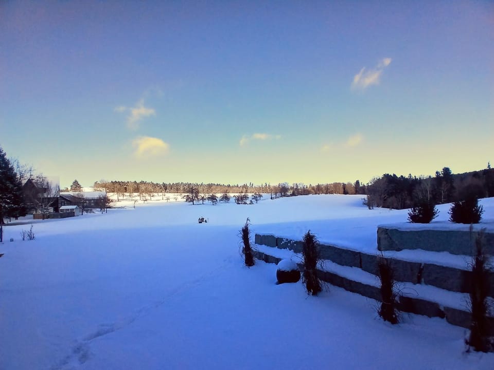 Winter, Garden, View (from property/room)