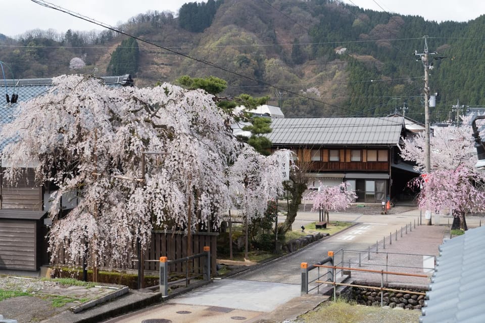 Spring, View (from property/room), City view, Street view