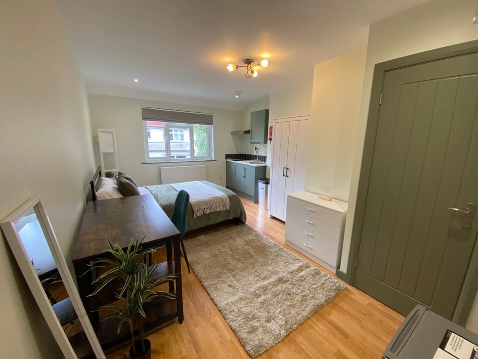 Studio Near Twickenham Stadium Apartment in Twickenham