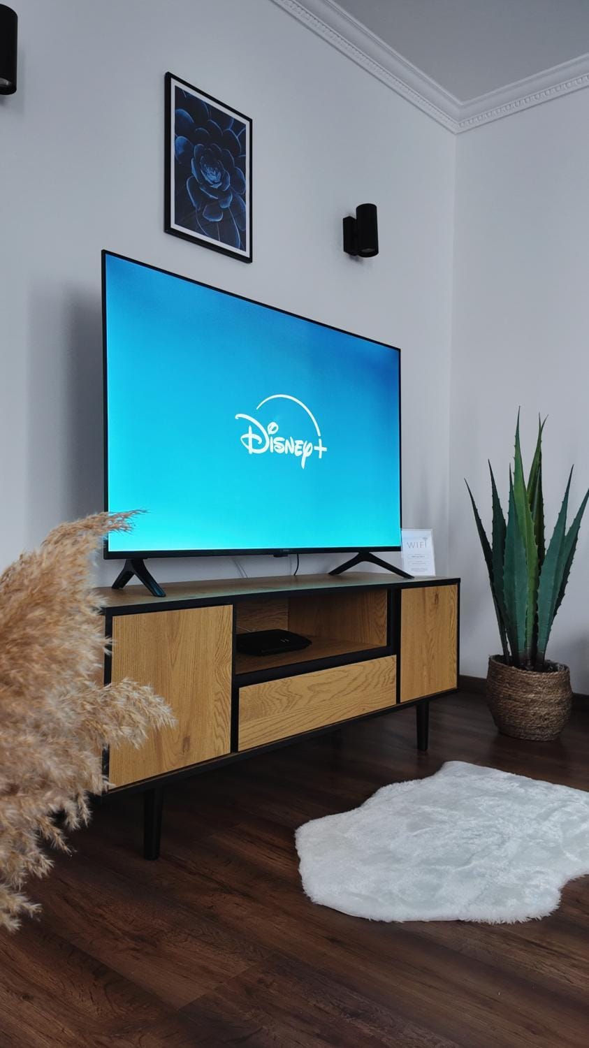 TV and multimedia