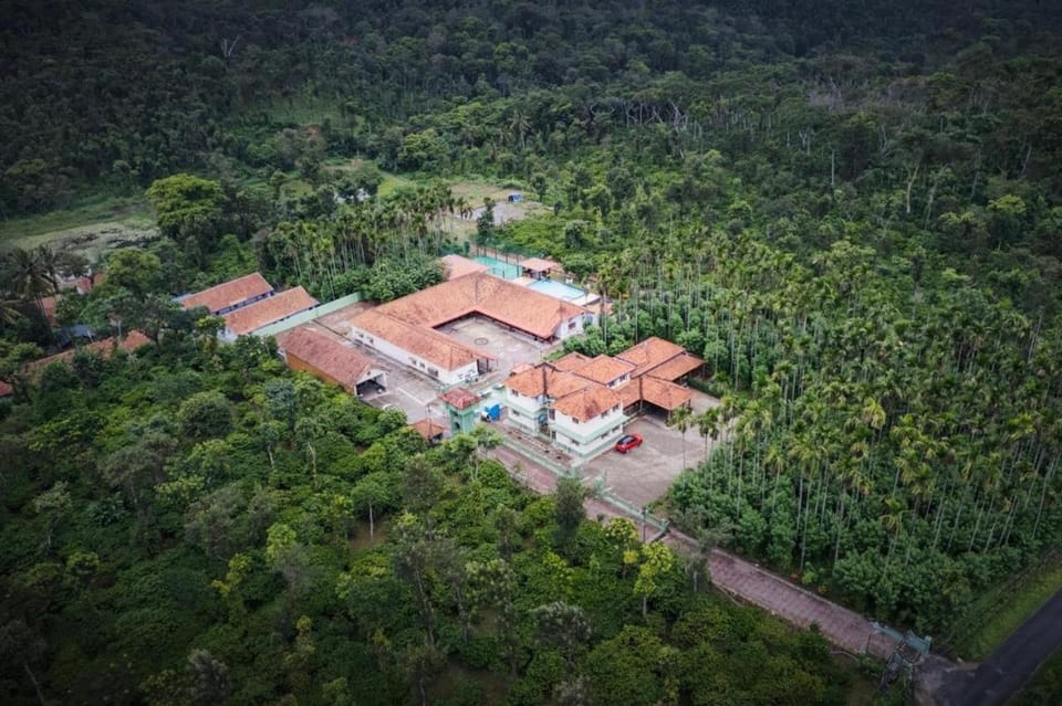Bird's eye view, Garden