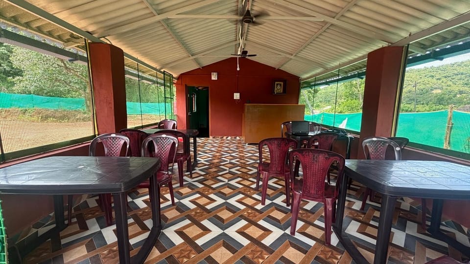Day, Seating area, Dining area