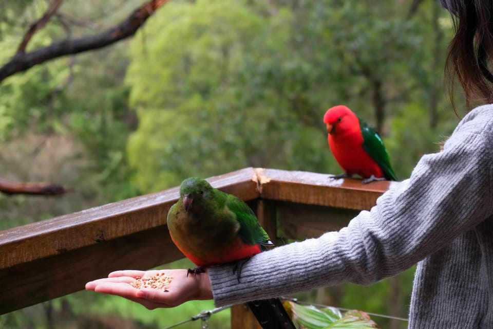 Natural landscape, Animals