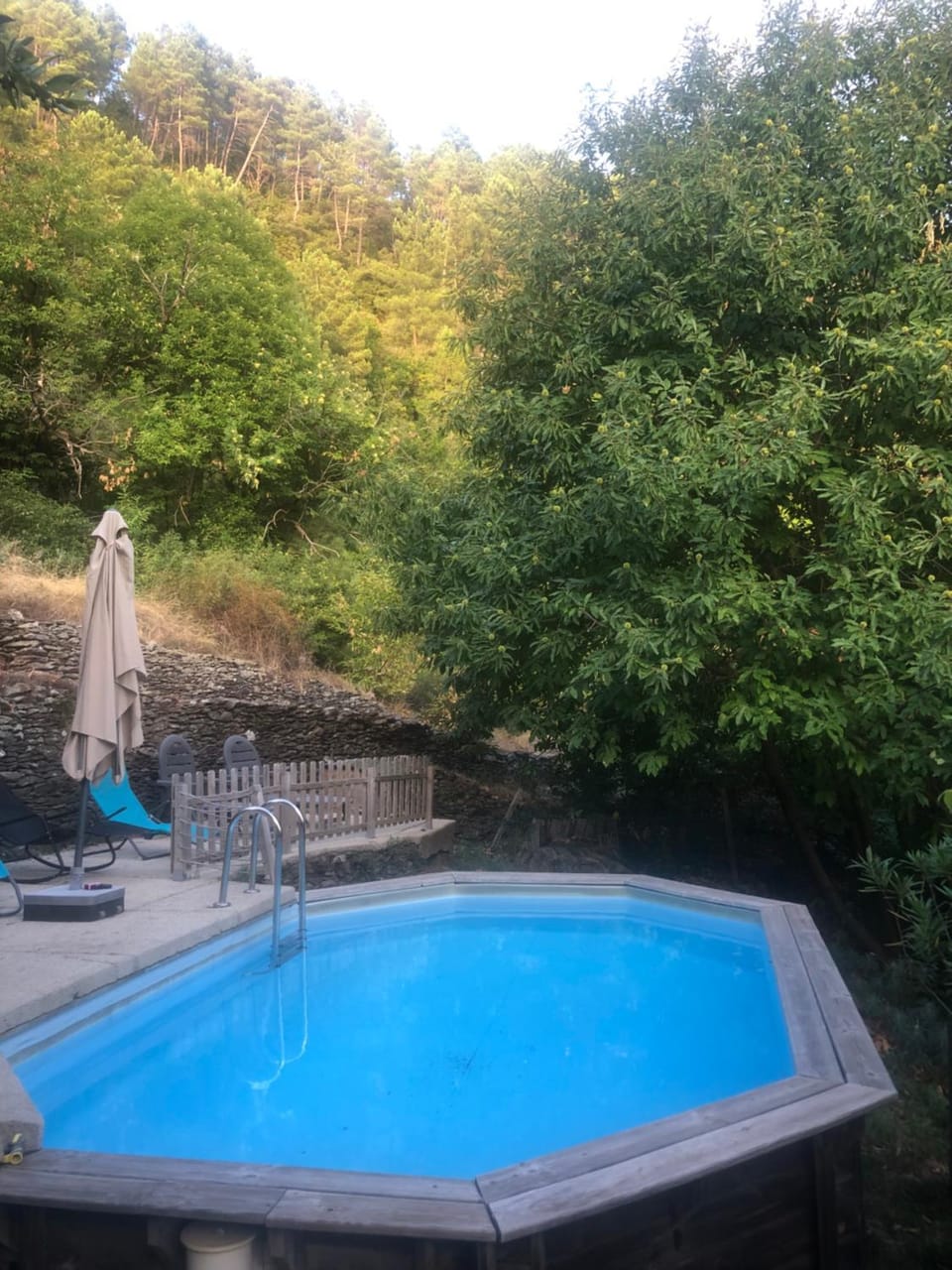 Natural landscape, Garden view, Swimming pool, sunbed