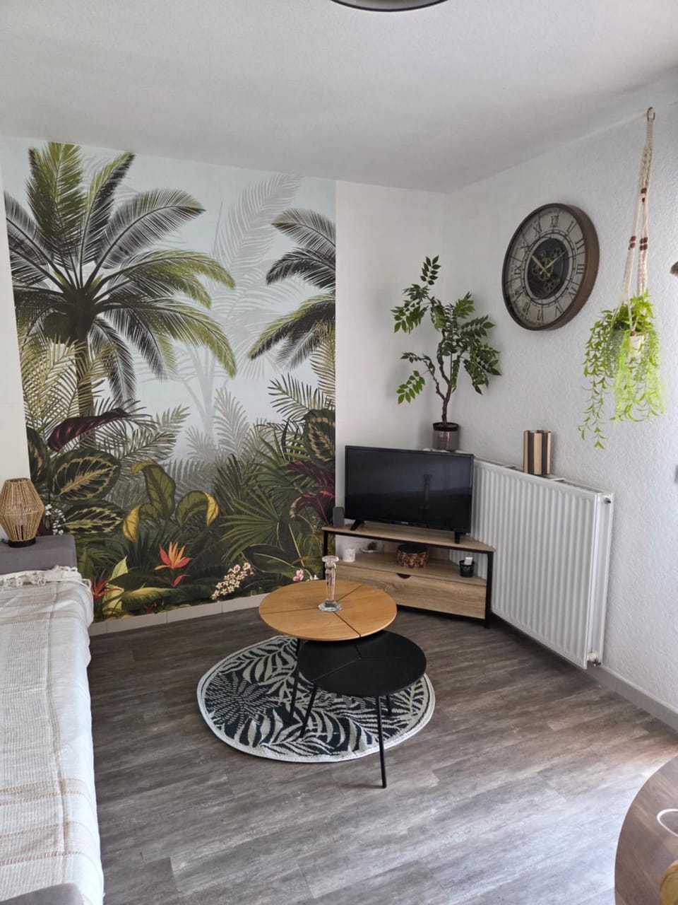 TV and multimedia, Living room