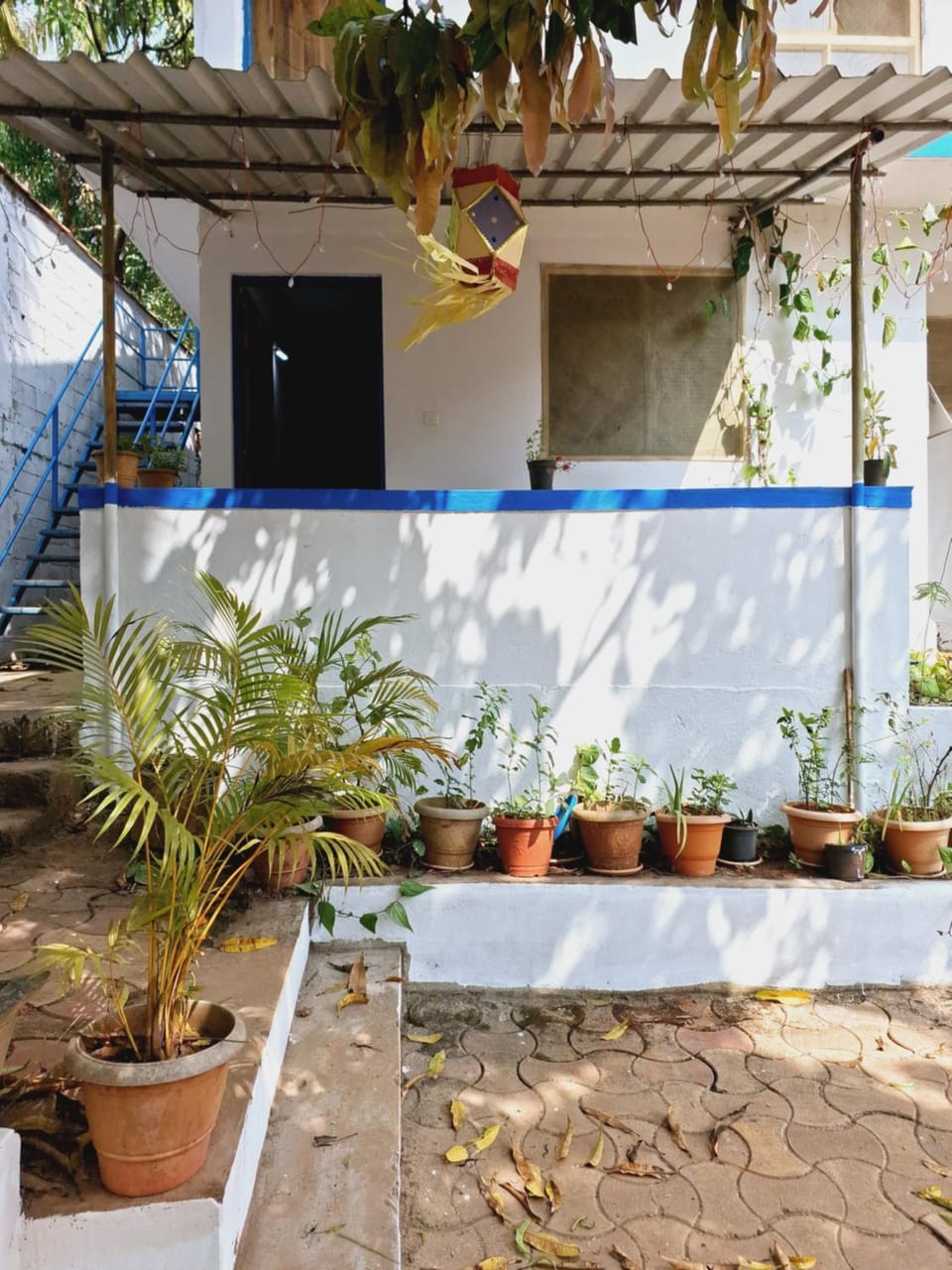 Property building, Garden, View (from property/room), Garden view