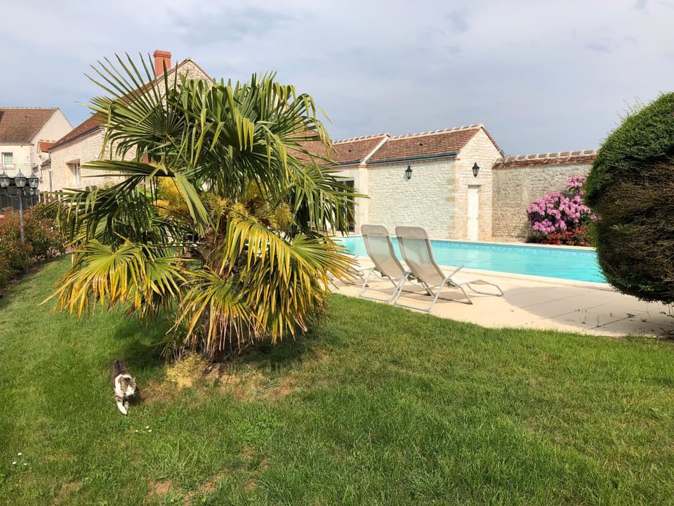 Garden, Swimming pool