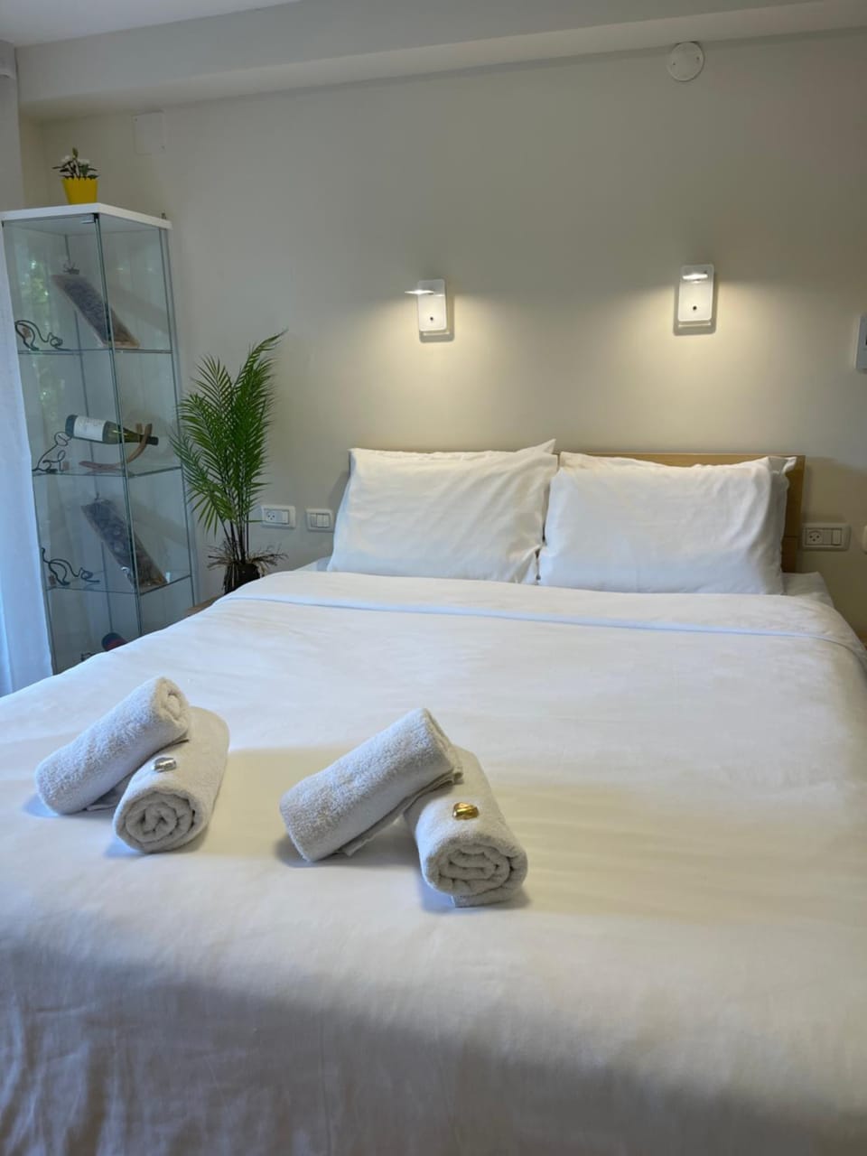 Amazing Private Suite with Garden, Pool, Hottub & Mountains View Apartment in Haifa