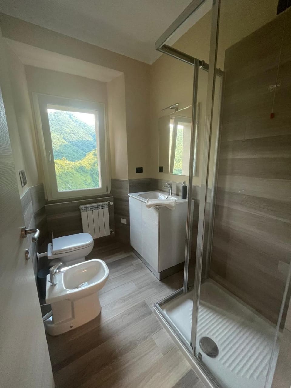 Shower, Toilet, Bathroom, bidet