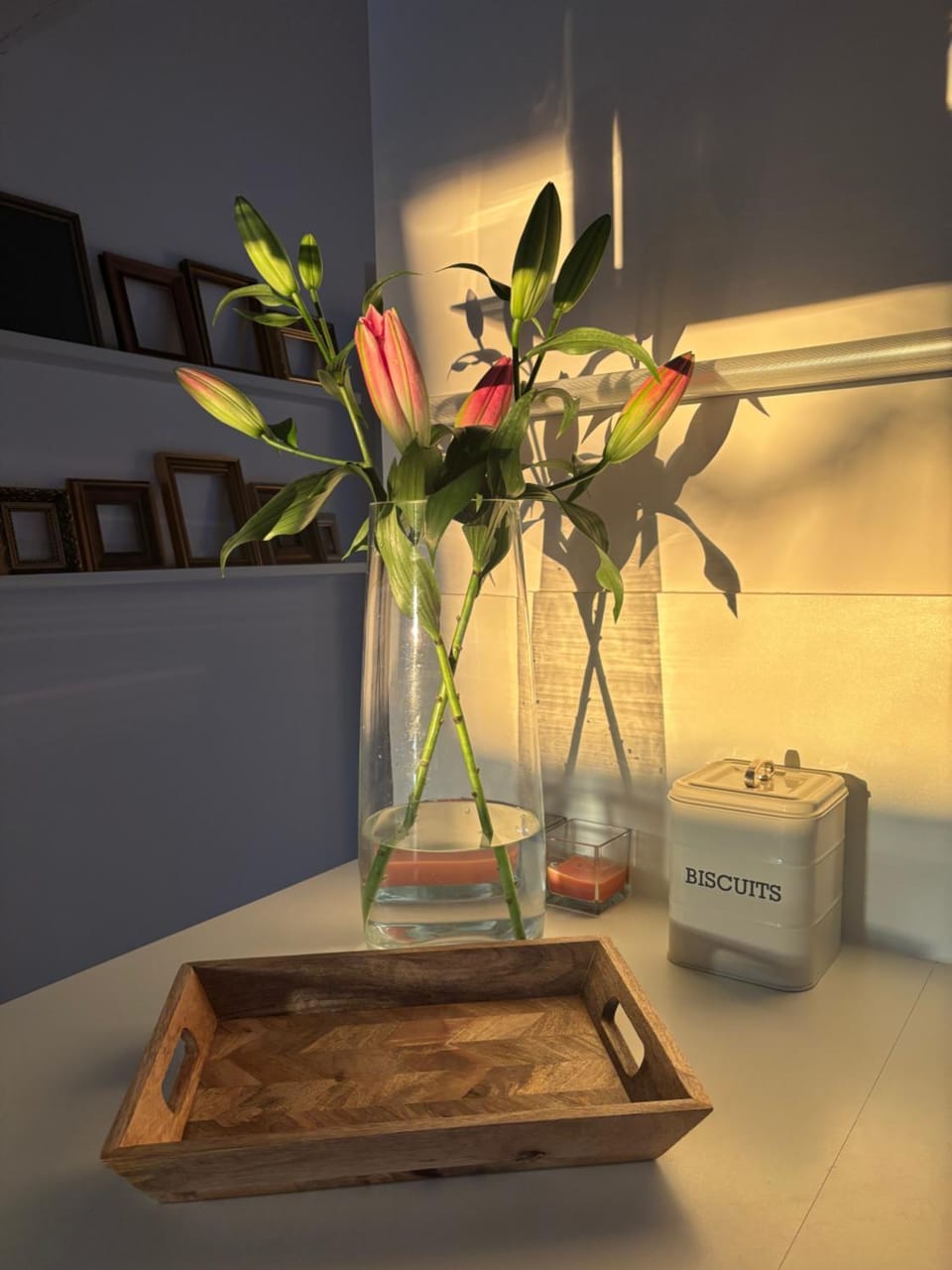 Kitchen or kitchenette, kitchen