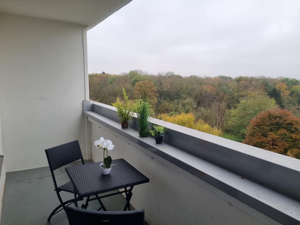 Deluxe Studio Apartment with balcony and view Apartment in Frankfurt