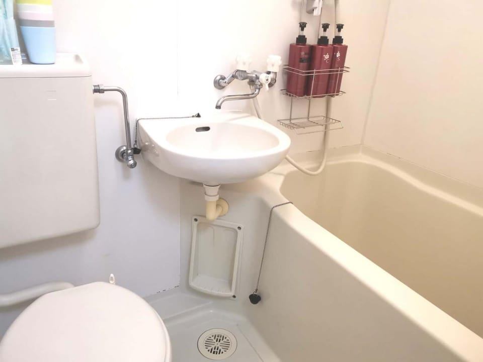 KS House Apartment in Japan