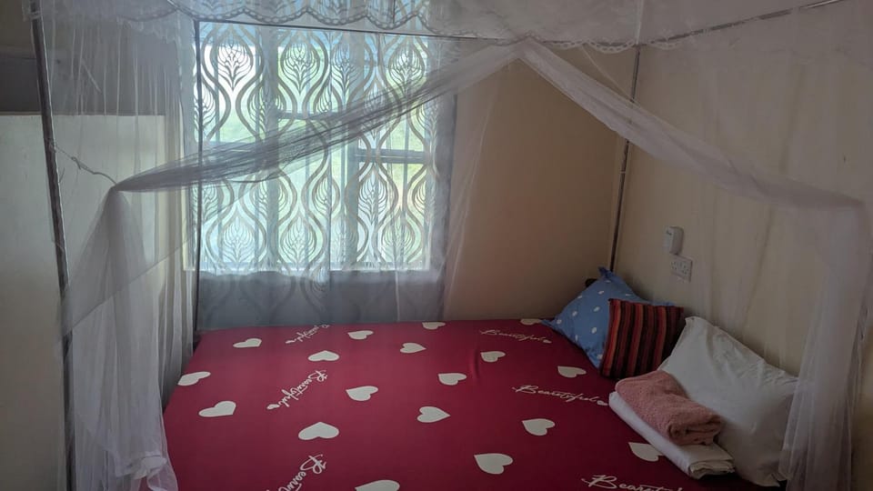 Lake natron Naibala Bed&Breakfast Bed and Breakfast in Tanzania