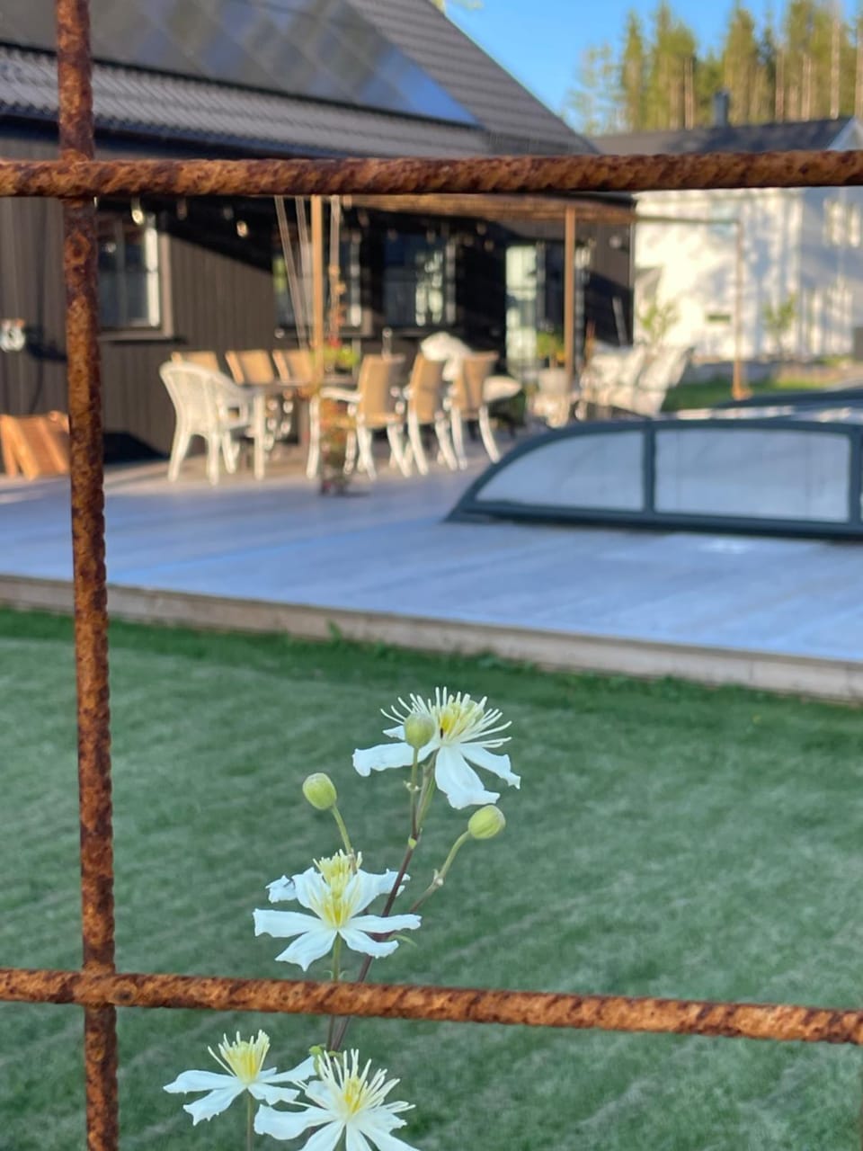 Patio, Garden, Dining area