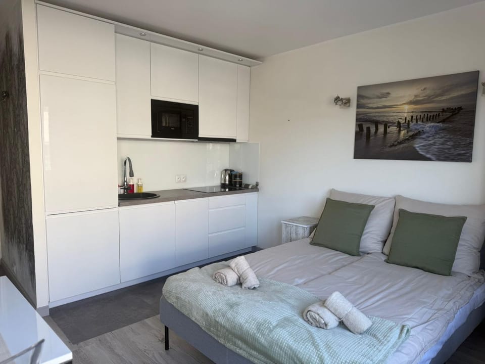 Kitchen or kitchenette, Photo of the whole room, Seating area