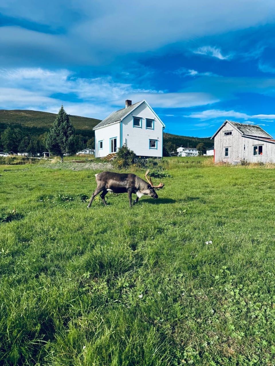 Natural landscape