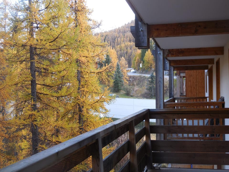 Balcony/Terrace, Garden view