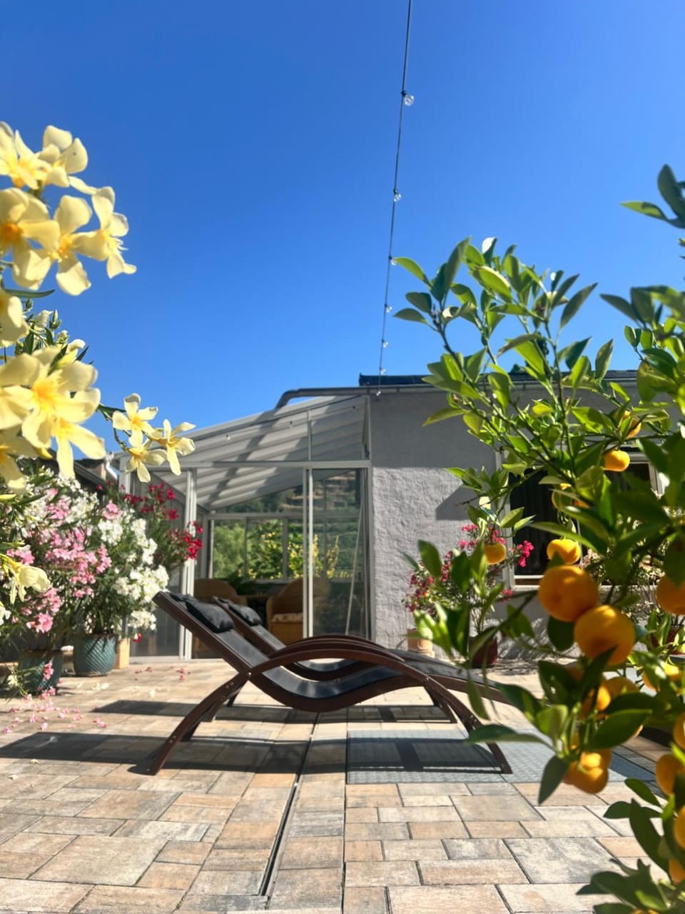 Garden view