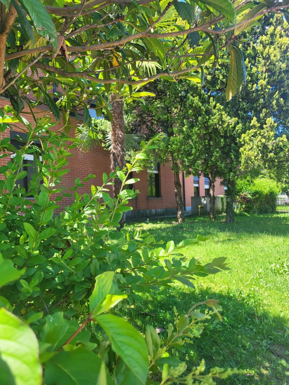Zenit Park Hotel Hotel in Piedmont