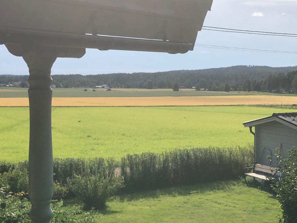 View (from property/room)