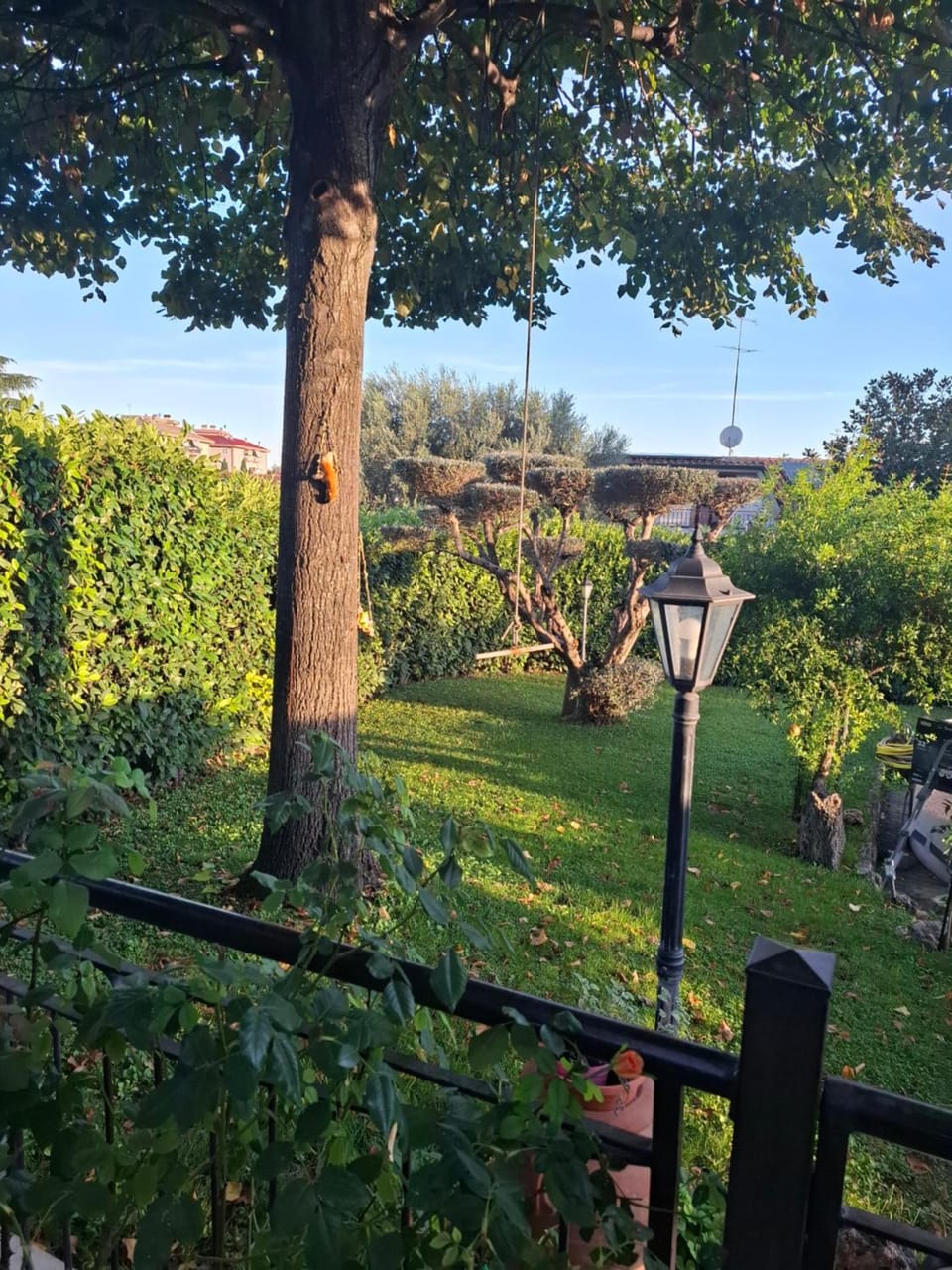 Natural landscape, Garden, Garden view