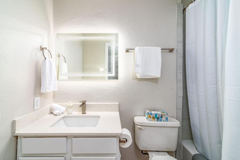 Cozy 1-BR Near Triangle, UT, SXSW & Hyde Park Apartment in Austin