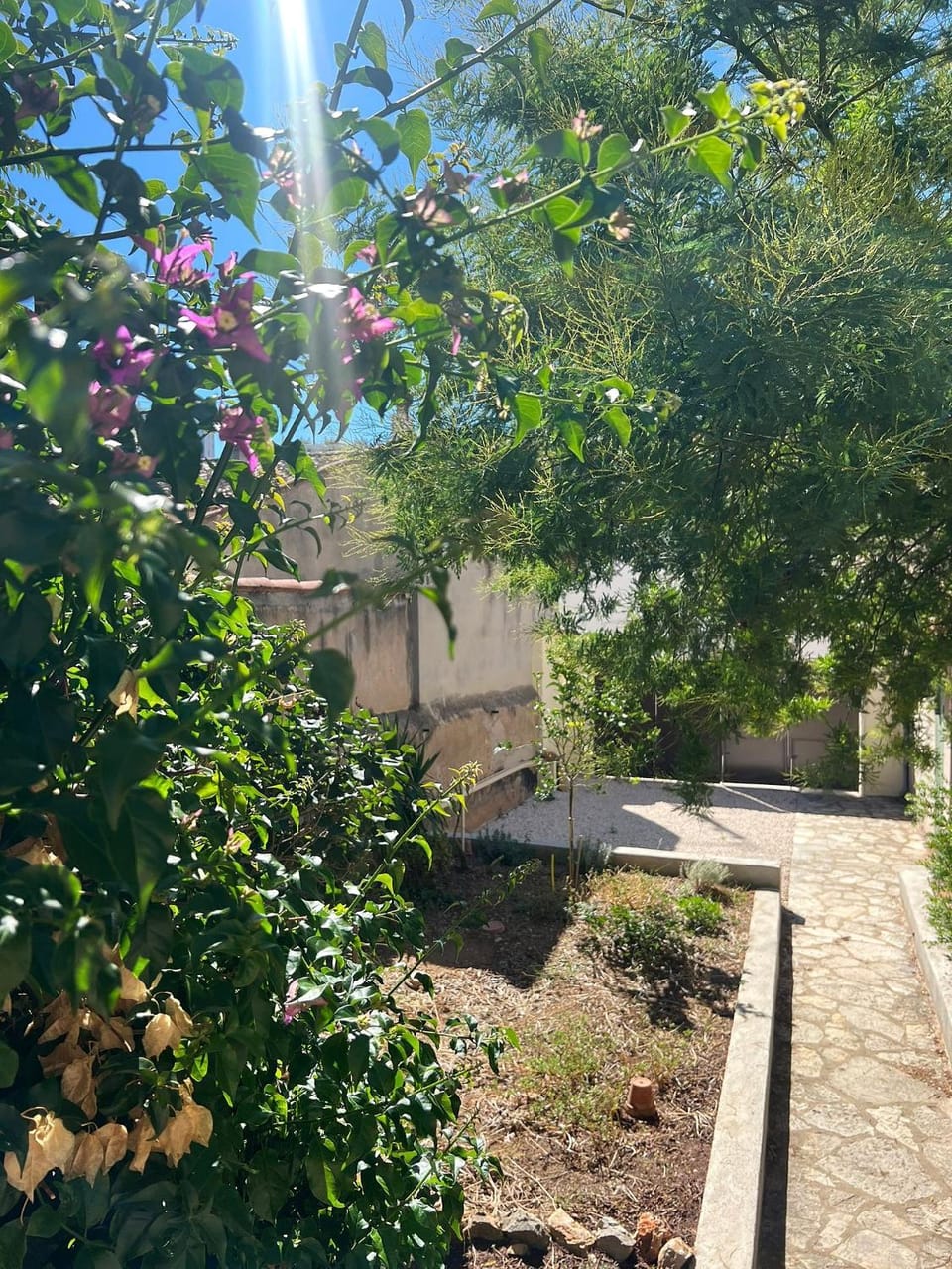 Garden, Garden view