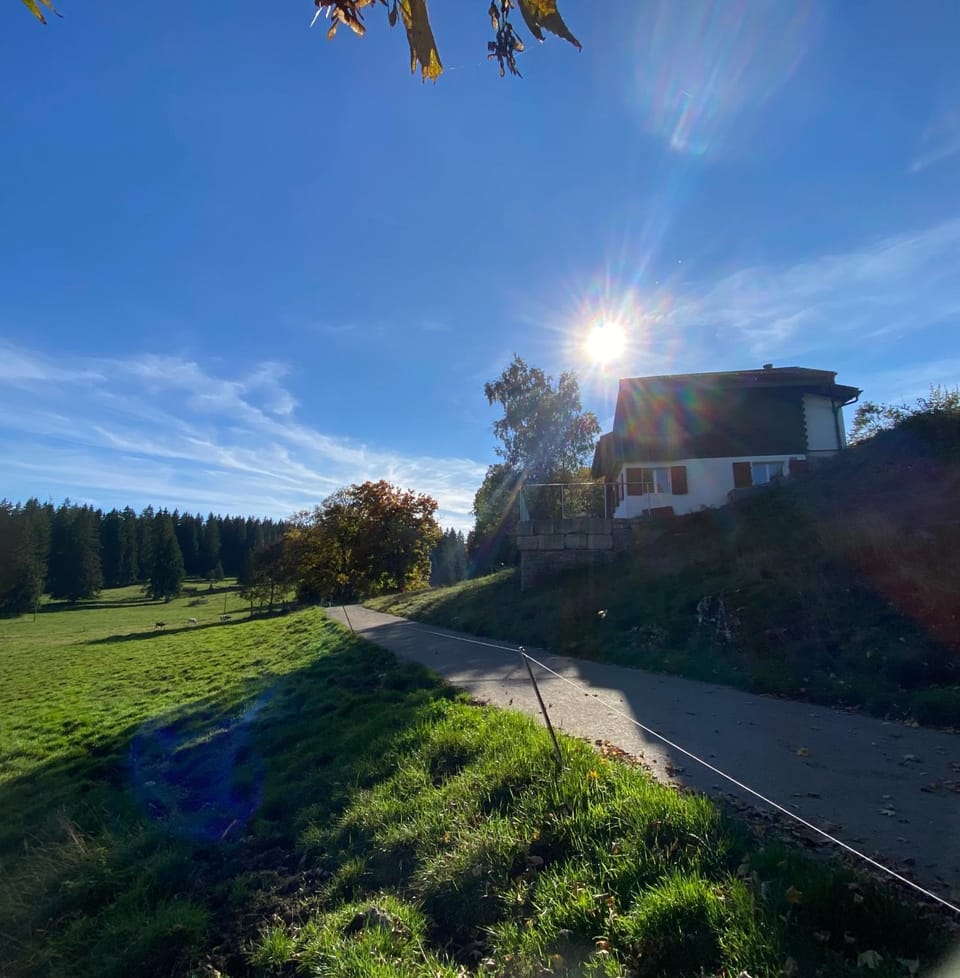 Le Petit Rêve Chalet in Canton of Bern (Region)