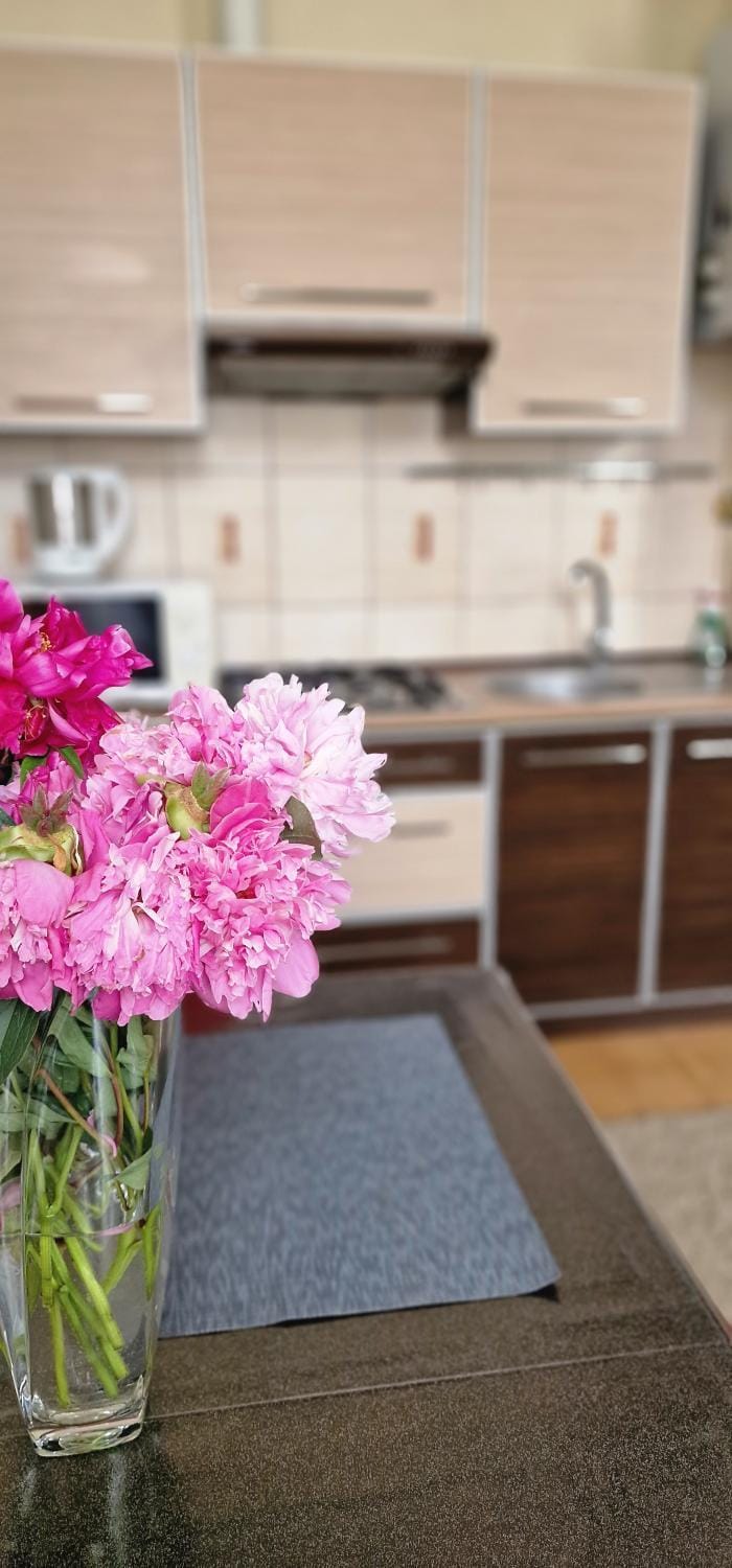 City Center Apartament Apartment in Ukraine