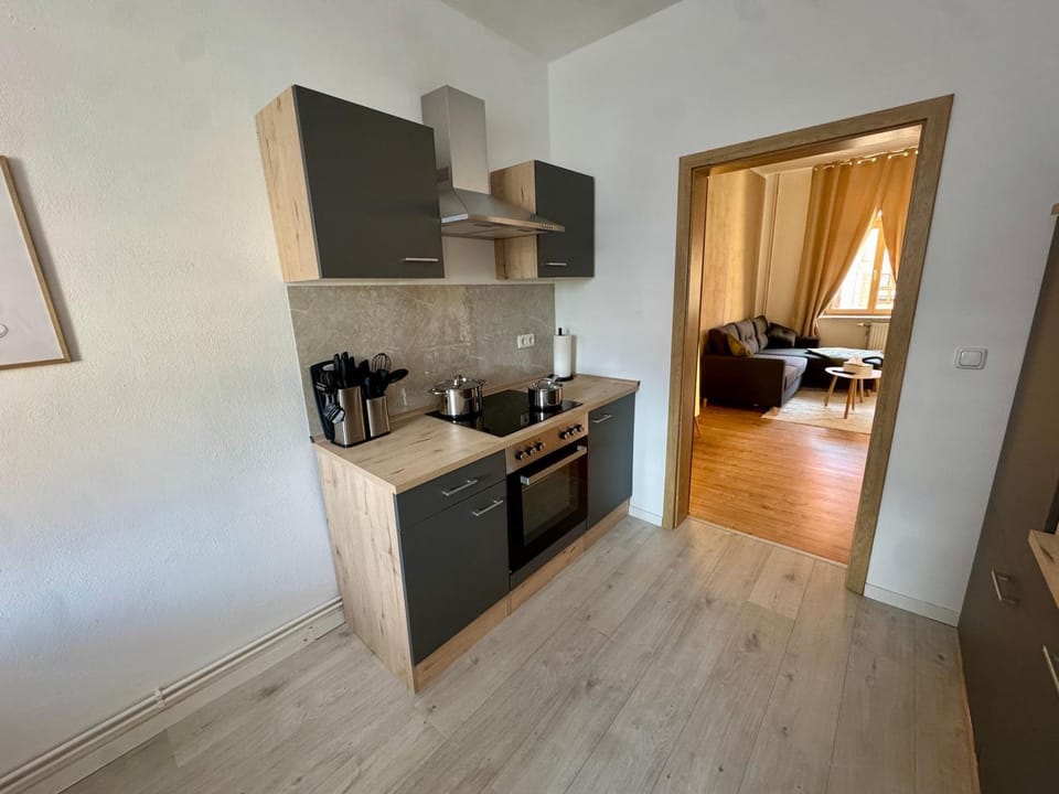 Kitchen or kitchenette, Photo of the whole room, oven, stove, toaster
