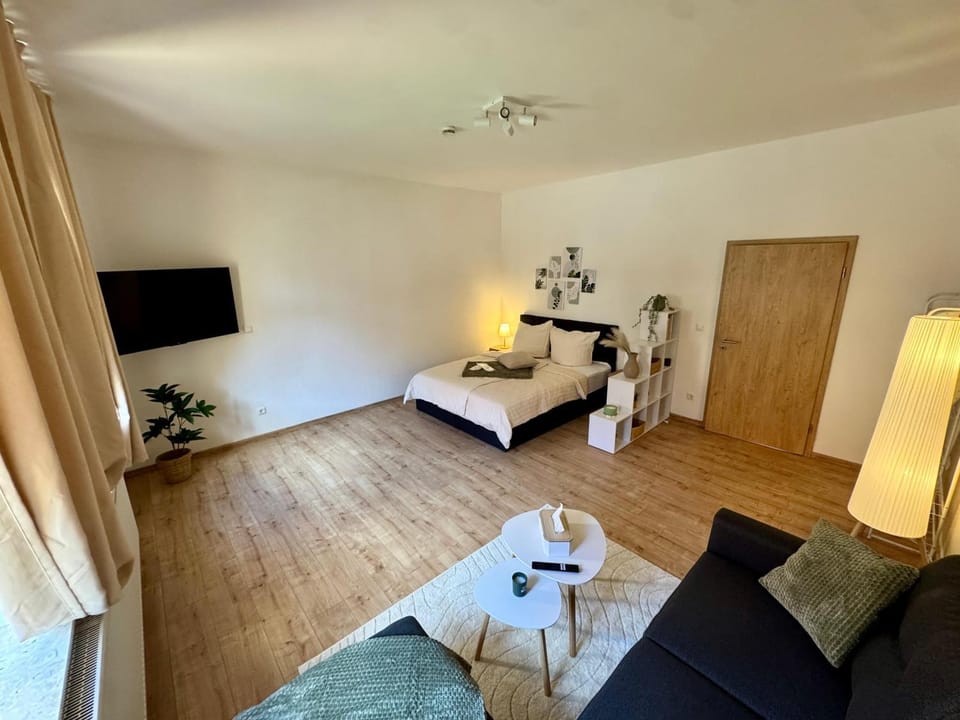 Bed, TV and multimedia, Living room, Photo of the whole room, Seating area, Bedroom