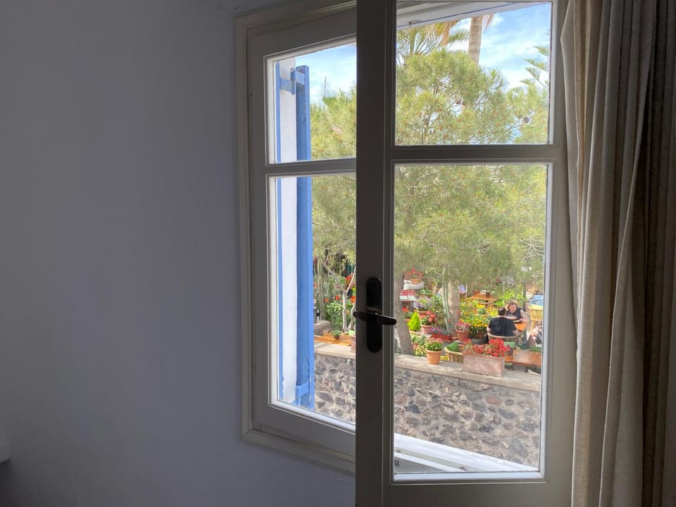 Garden view