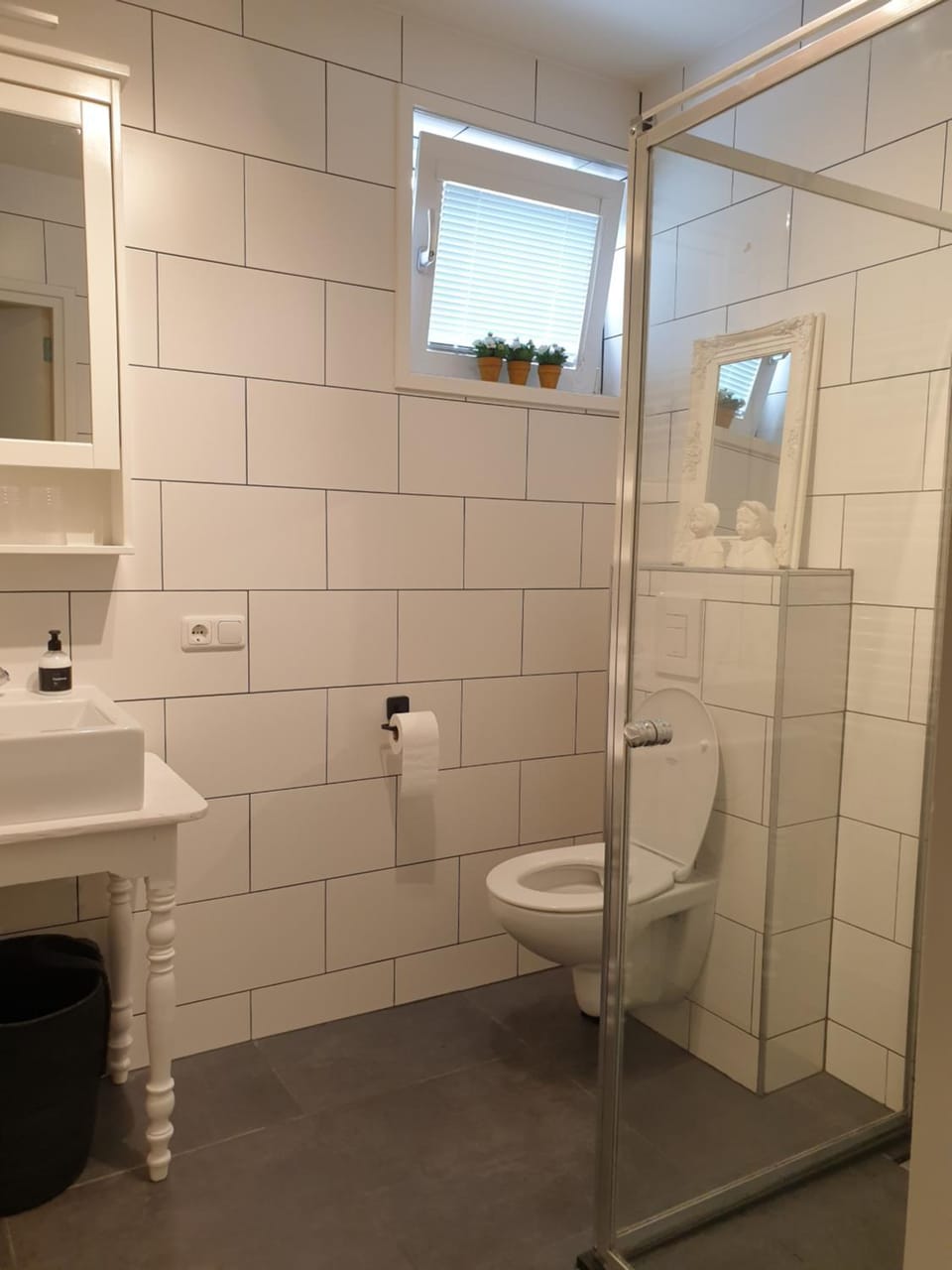 Shower, Toilet