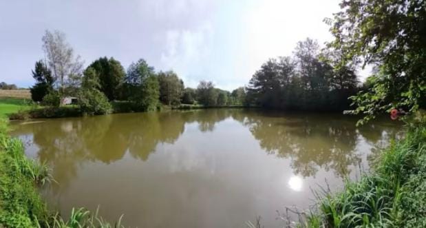 Chalet autonome avec étang pleine nature Chalet in Bourgogne-Franche-Comté