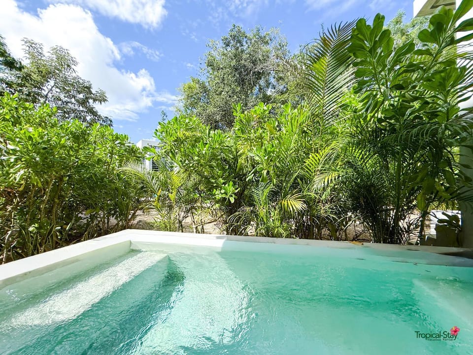 Jungle Suite Private Pool King Bed Wifi 305 Apartment in State of Quintana Roo