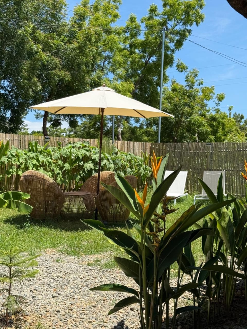 The Bamboo Villas 3 Bed and Breakfast in Central Visayas