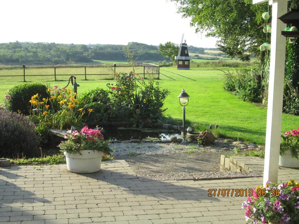 Garden view