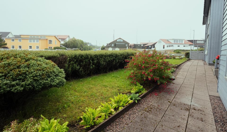 Neighbourhood, Garden, Garden, Street view