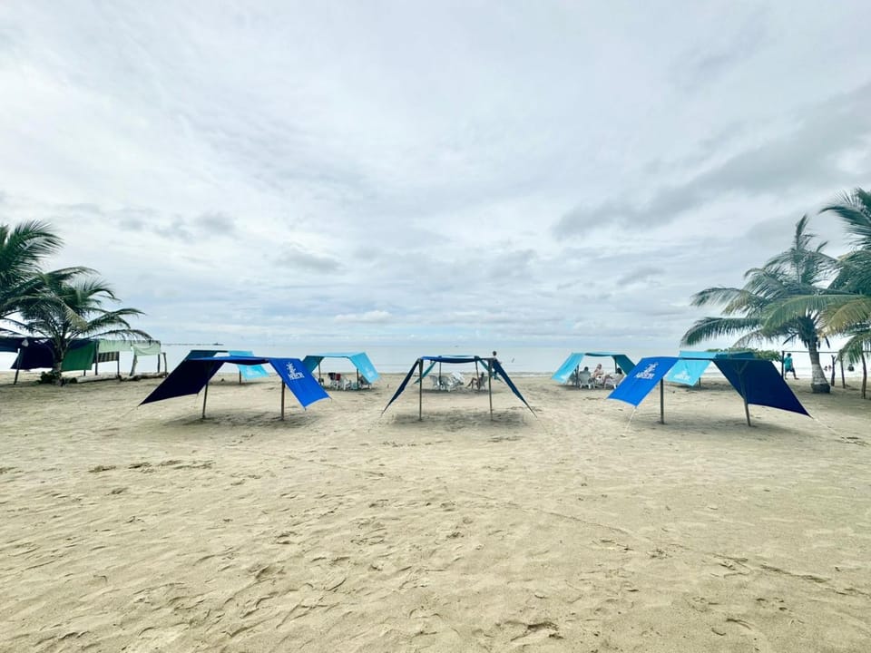 Off site