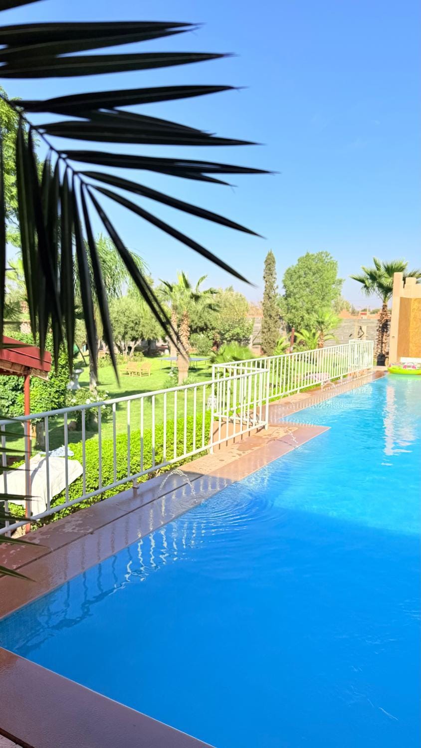 Day, Garden, Swimming pool, sunbed