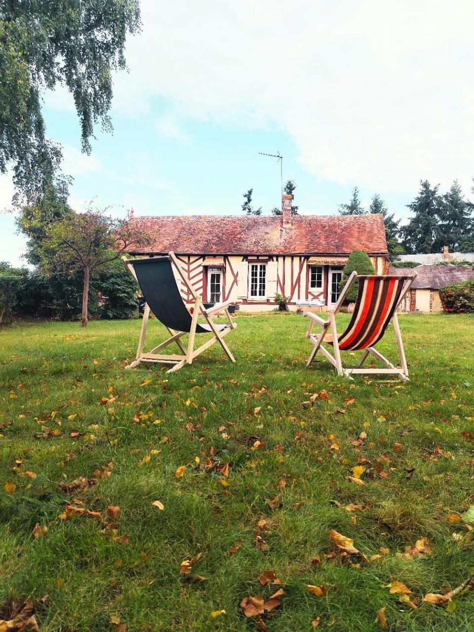 Day, Garden, Garden view, sunbed