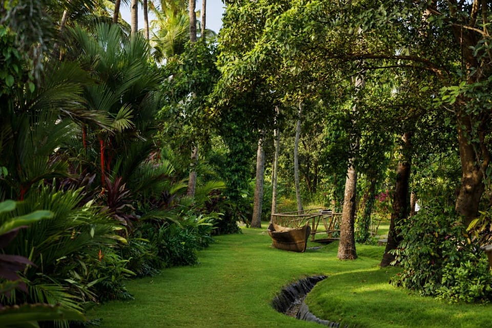 Natural landscape, Garden, View (from property/room), Garden view