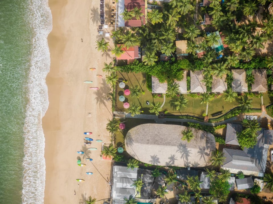 Day, People, Natural landscape, Bird's eye view, Beach, Evening entertainment, Sea view, group of guests