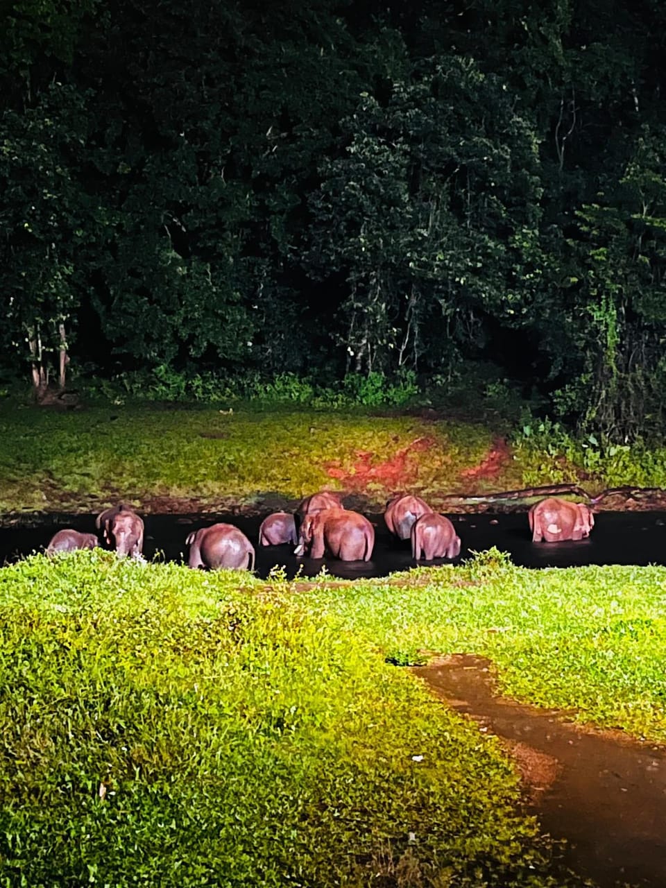 Casa Nube Resort Munnar Resort in Kerala