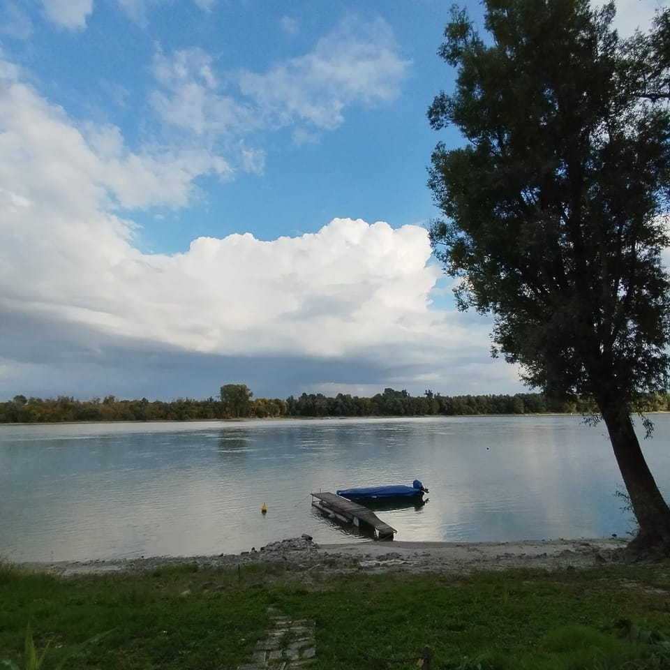 Day, Activities, River view